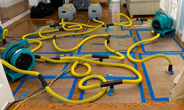 Professional Water Extraction technician working in Black Earth, WI